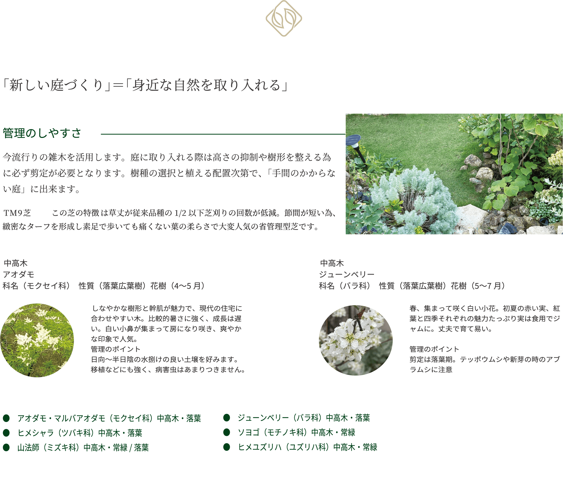「新しい庭づくり」＝「身近な自然を取り入れる」　管理のしやすさ　今流行りの雑木を活用します。庭に取り入れる際は高さの抑制や樹形を整える為に必ず剪定が必要となります。樹種の選択と植える配置次第で、「手間のかからない庭」に出来ます。
TM9芝 この芝の特徴は草丈が従来品種の1/2以下芝刈りの回数が低減。節間が短い為、緻密なターフを形成し素足で歩いても痛くない葉の柔らさで大変人気の省管理型芝です。中高木 アオダモ 科名（モクセイ科）　性質（落葉広葉樹）花樹（4〜5月）　　
中高木 ジューンベリー 科名（バラ科）　性質（落葉広葉樹）花樹（5〜7月）春、集まって咲く白い小花。初夏の赤い実、紅葉と四季それぞれの魅力たっぷり実は食用でジャムに。丈夫で育て易い。  管理のポイント 剪定は落葉期。テッポウムシや新芽の時のアブラムシに注意　●アオダモ・マルバアオダモ（モクセイ科）中高木・落葉 ●ジューンベリー（バラ科）中高木・落葉 ●ヒメシャラ（ツバキ科）中高木・落葉 ●ソヨゴ（モチノキ科）中高木・常緑 ●　山法師（ミズキ科）中高木・常緑/落葉 ●ヒメユズリハ（ユズリハ科）中高木・常緑