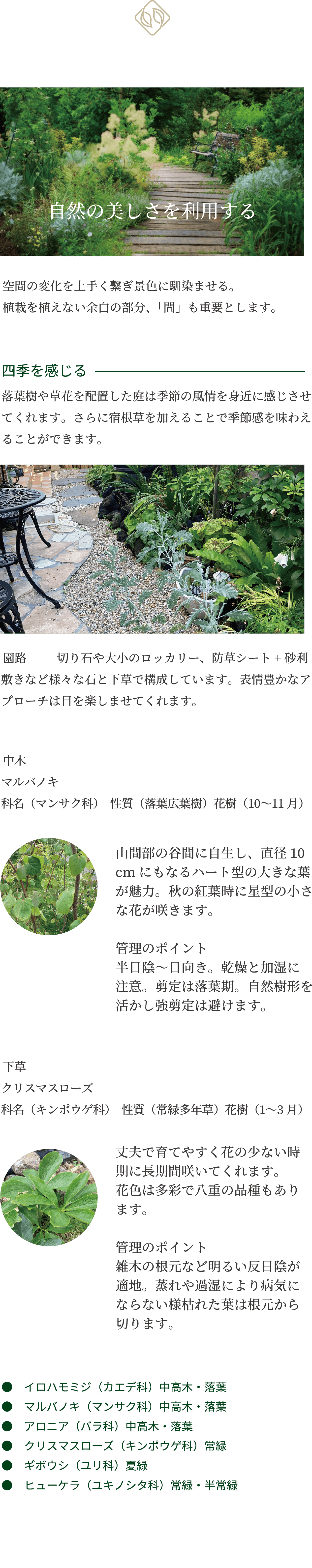 自然の美しさを利用する 空間の変化を上手く繋ぎ景色に馴染ませる。植栽を植えない余白の部分、「間」も重要とします。　四季を感じる 落葉樹や草花を配置した庭は季節の風情を身近に感じさせてくれます。さらに宿根草を加えることで季節感を味わえることができます。 園路　　切り石や大小のロッカリー、防草シート+砂利敷きなど様々な石と下草で構成しています。表情豊かなアプローチは目を楽しませてくれます。  中木 マルバノキ 科名（マンサク科）　性質（落葉広葉樹）花樹（10〜11月） 山間部の谷間に自生し、直径10cmにもなるハート型の大きな葉が魅力。秋の紅葉時に星型の小さな花が咲きます。  管理のポイント 半日陰〜日向き。乾燥と加湿に注意。剪定は落葉期。自然樹形を活かし強剪定は避けます。  下草 クリスマスローズ 科名（キンポウゲ科）　性質（常緑多年草）花樹（1〜3月） 丈夫で育てやすく花の少ない時期に長期間咲いてくれます。花色は多彩で八重の品種もあります。 管理のポイント 雑木の根元など明るい反日陰が適地。蒸れや過湿により病気にならない様枯れた葉は根元から切ります。●イロハモミジ（カエデ科）中高木・落葉 ●クリスマスローズ（キンポウゲ科）常緑 ●マルバノキ（マンサク科）中高木・落葉 ●ギボウシ（ユリ科）夏緑 ●アロニア（バラ科）中高木・落葉 ●　ヒューケラ（ユキノシタ科）常緑・半常緑