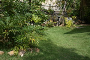 阿久比町　外構工事 TM-9芝貼り